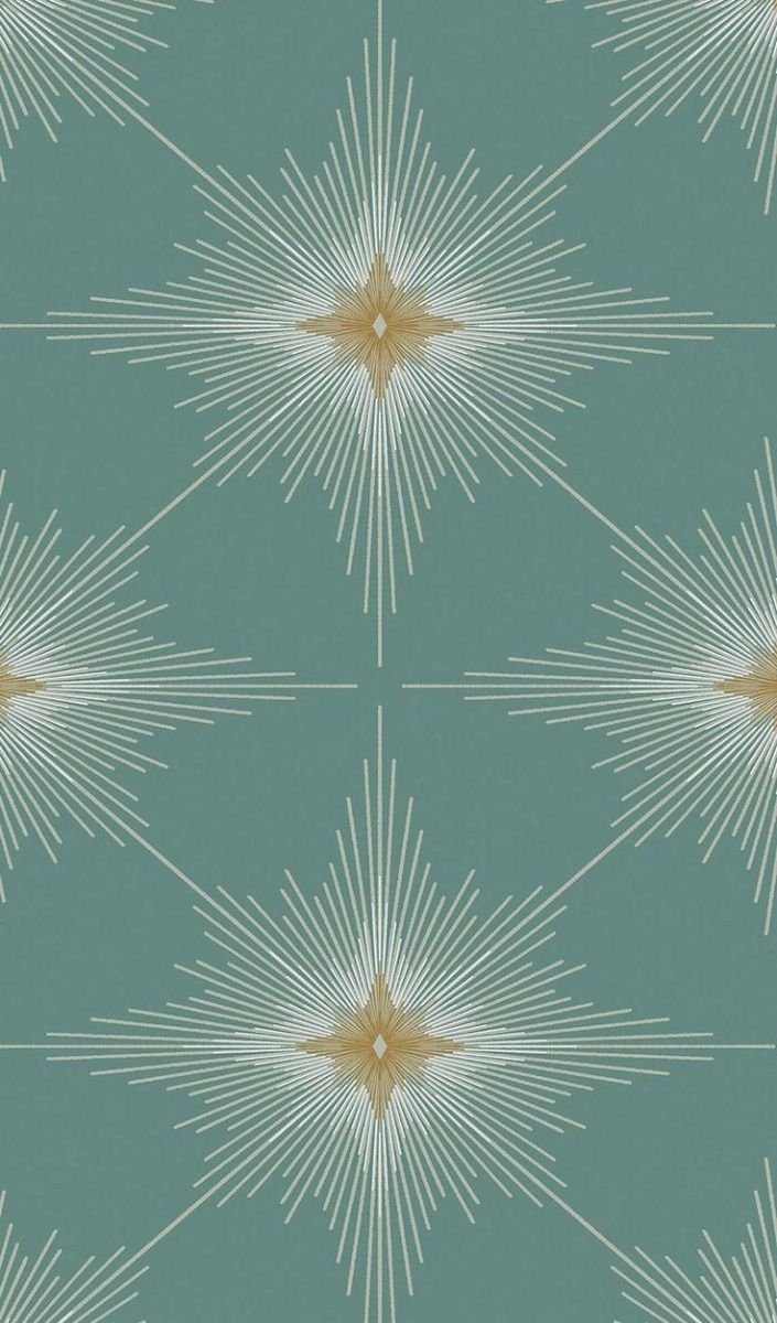 WhatsApp Image 2026-01-10 at 10.08.00 PM (1)